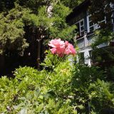 Отель Муссон, фото гостя