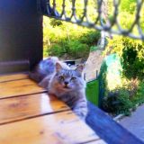 Отель Муссон, фото гостя