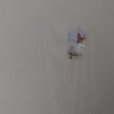 Мини-отель Мираж на Юрловском проезде, фото гостя