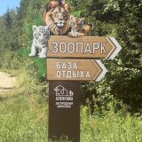 База отдыха Алёнушка, фото гостя