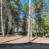 База отдыха Сямозеро, фото гостя