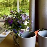 Загородный отель Ягодная Деревня, фото гостя