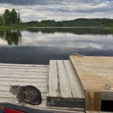 Загородный отель Ягодная Деревня, фото гостя