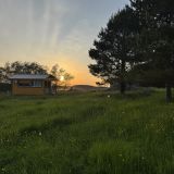 Загородный отель Ягодная Деревня, фото гостя