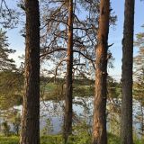 Загородный отель Ягодная Деревня, фото гостя