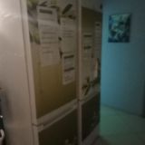 Хостел Travel Inn Серпуховская, фото гостя