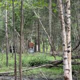 Загородный отель Времена года, фото гостя