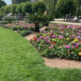 Кисловодск, фото отдыхающего в июле