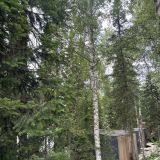 Загородный отель Тайгара, фото гостя