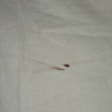 Хостел Travel Inn, фото гостя