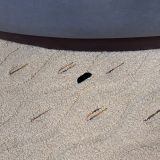 Апарт-отель На Таганке возле Кремля, фото гостя