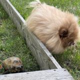 Гостевой дом Море Мур, фото гостя