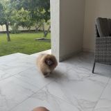 Гостевой дом Море Мур, фото гостя