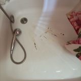 Гостиница Рубикон, фото гостя