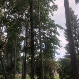 Гостиница Золотая бухта, фото гостя