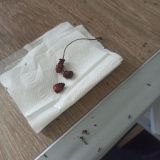 Отель Атлантика, фото гостя