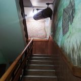 Отель Алеша Попович Двор, фото гостя