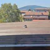 Гостевой дом Астория, фото гостя