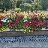 Москва, фото отдыхающего в июле