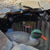 Гостевой дом Мон Плезир, фото гостя