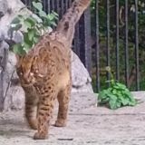 Сибирь, фото отдыхающего в июле