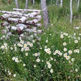 База отдыха Алино, фото гостя