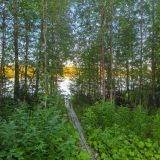 База отдыха Фрегат, фото гостя