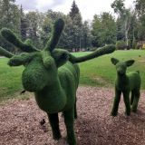 Средняя полоса России, фото отдыхающего в июле