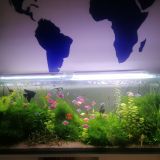 Хостел O'Key Home, фото гостя