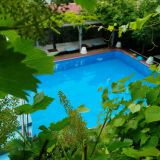 Гостевой дом Green oasis Vavilon, фото гостя