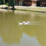 База отдыха Озеро Желаний, фото гостя