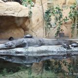 Минск, фото отдыхающего в июле