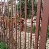 Минск, фото отдыхающего в июле