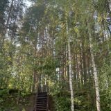 База отдыха БЕРЕГ МОЛОГИ, фото гостя