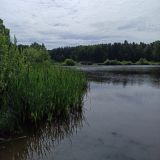 Парк-Отель Берендеевка, фото гостя