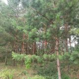 Экопарк Поляны, фото гостя