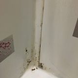 Отель Достоевский, фото гостя