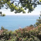 Сочи, фото отдыхающего в июле