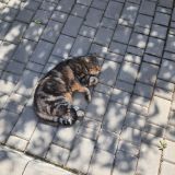 Мини-отель Arz отель, фото гостя