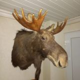 Гостевой дом Мезмай, фото гостя