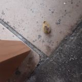 Хостел Невский, фото гостя