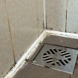 Мини-отель Евразия, фото гостя