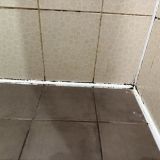 Мини-отель Евразия, фото гостя