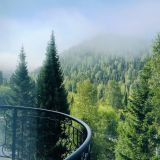 Отель Замок Эдельвейс, фото гостя