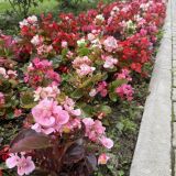 Отель Next, фото гостя