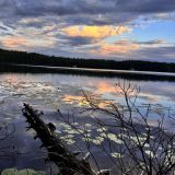 Глэмпинг Оланга, фото гостя