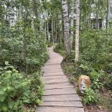 Глэмпинг Оланга, фото гостя