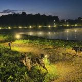 Загородный отель Ашрам, фото гостя