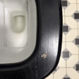 Отель Шлосс Янтарный, фото гостя