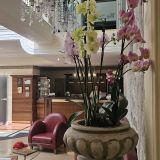 Псков, фото отдыхающего в июле